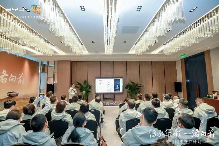 传承华彩，一路向前，比亚迪国宝守护计划郑州站