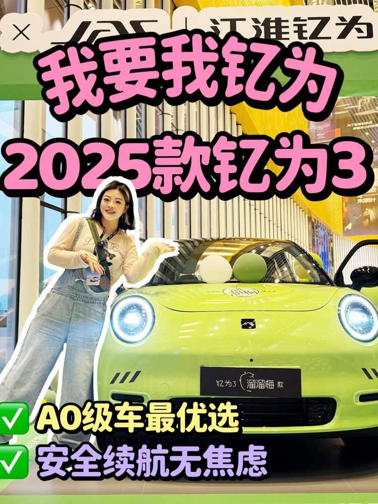 我要我钇为！ 2025款钇为3上市 妥妥的 AO 级车最优选 安全舒适续航无焦虑