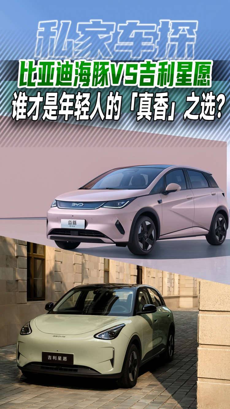 比亚迪海豚VS吉利星愿，谁才是年轻人的「真香」之选？