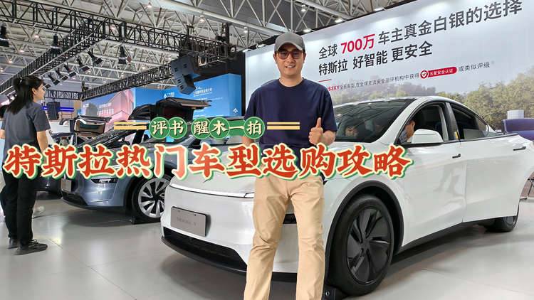 特斯拉热门车型选购攻略，凭什么卖得好？买它划算吗