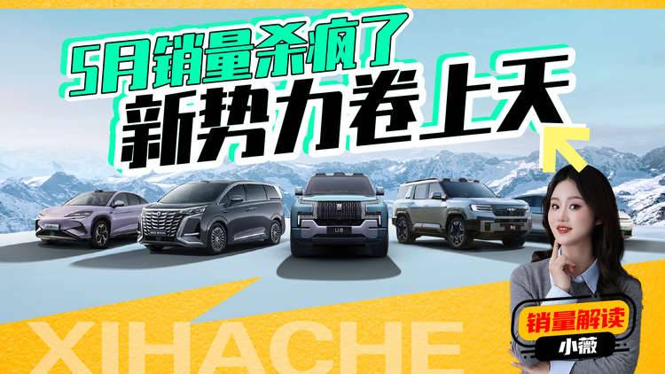 5月汽车销量榜解读，比亚迪真卖得有这么好吗？其他品牌表现如何