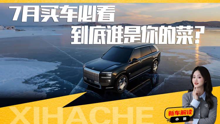 7月份重磅新车盘点，极氪9X、理想i8和小鹏G7怎么选