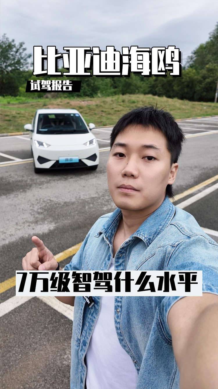 海鸥，7万级唯一配备智能驾驶辅助，什么水平