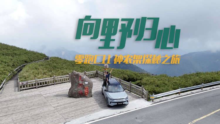 向野归心 零跑C11神农架探秘之旅