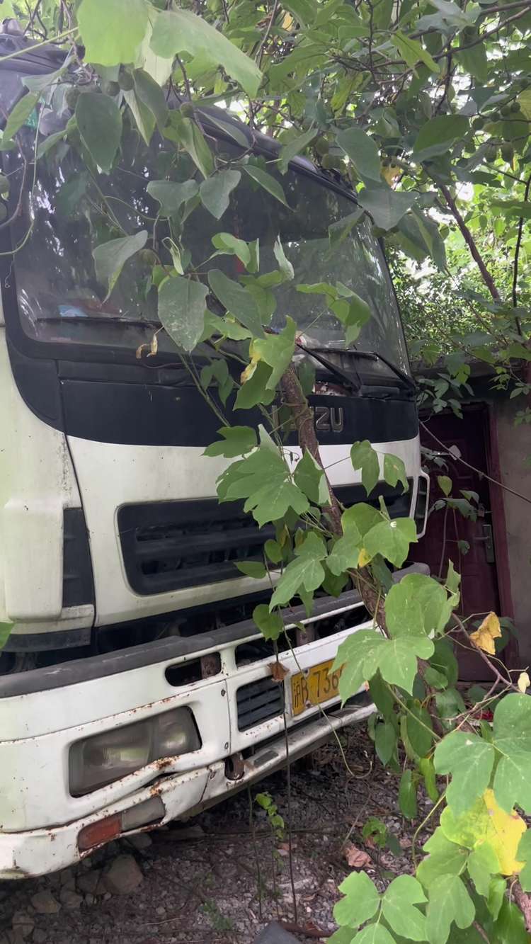 也不知道哪个公司这么豪，几百万的吊车，扔在小树林