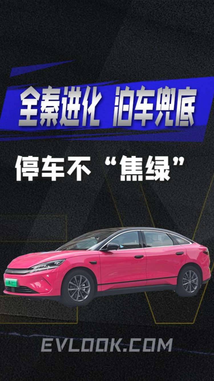 全“秦”进化，泊车兜底！泊车不用学，智驾来帮你～