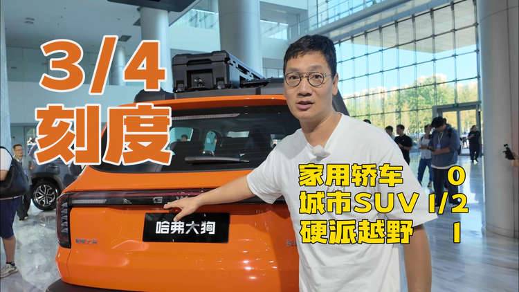 带“硬锁”能“变脸” 哈弗大狗   2026款挺会玩