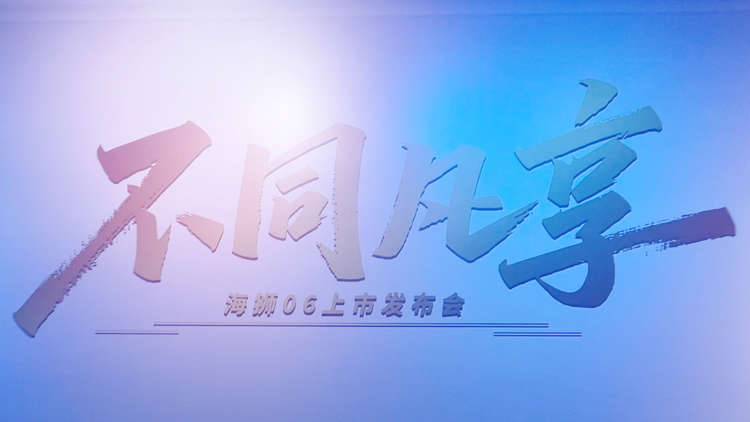 2025最值得期待的中型SUV 比亚迪海狮06它来了！