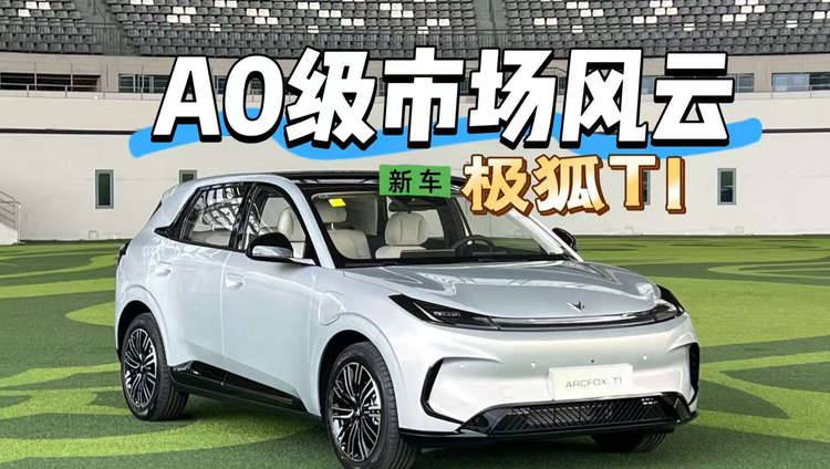 A0级市场风云 极狐T1