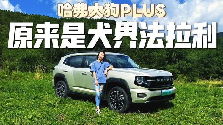 哈弗大狗PLUS 竟是“犬界法拉利”？