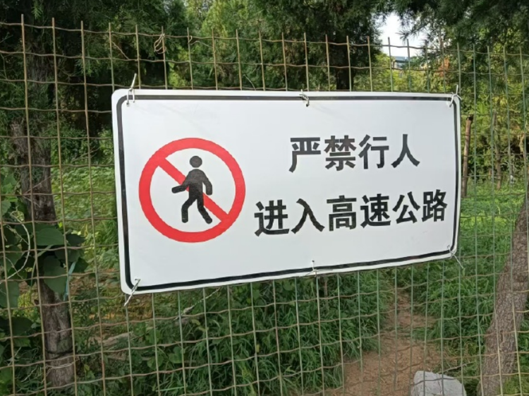 行人身着深色衣服横穿夜间高速公路，司机吓到惊叫、急转堪堪躲过