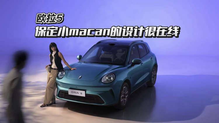 保定小macan的设计很在线