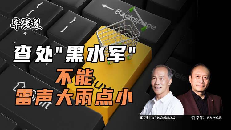 车佬道：查处“黑水军” 不能雷声大雨点小