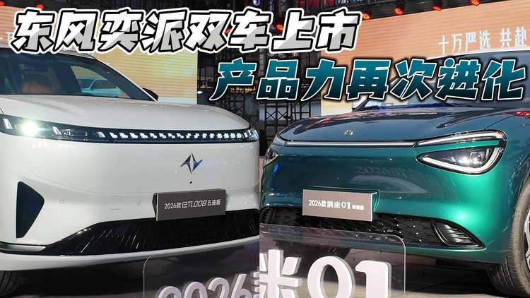 产品力再次进化 东风纳米01双车上市