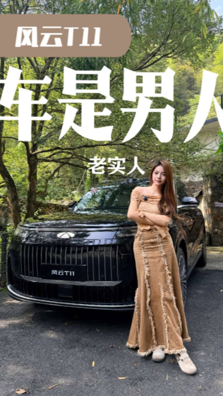 试驾风云T11，把车当男人选择，这次我选“老实人”！