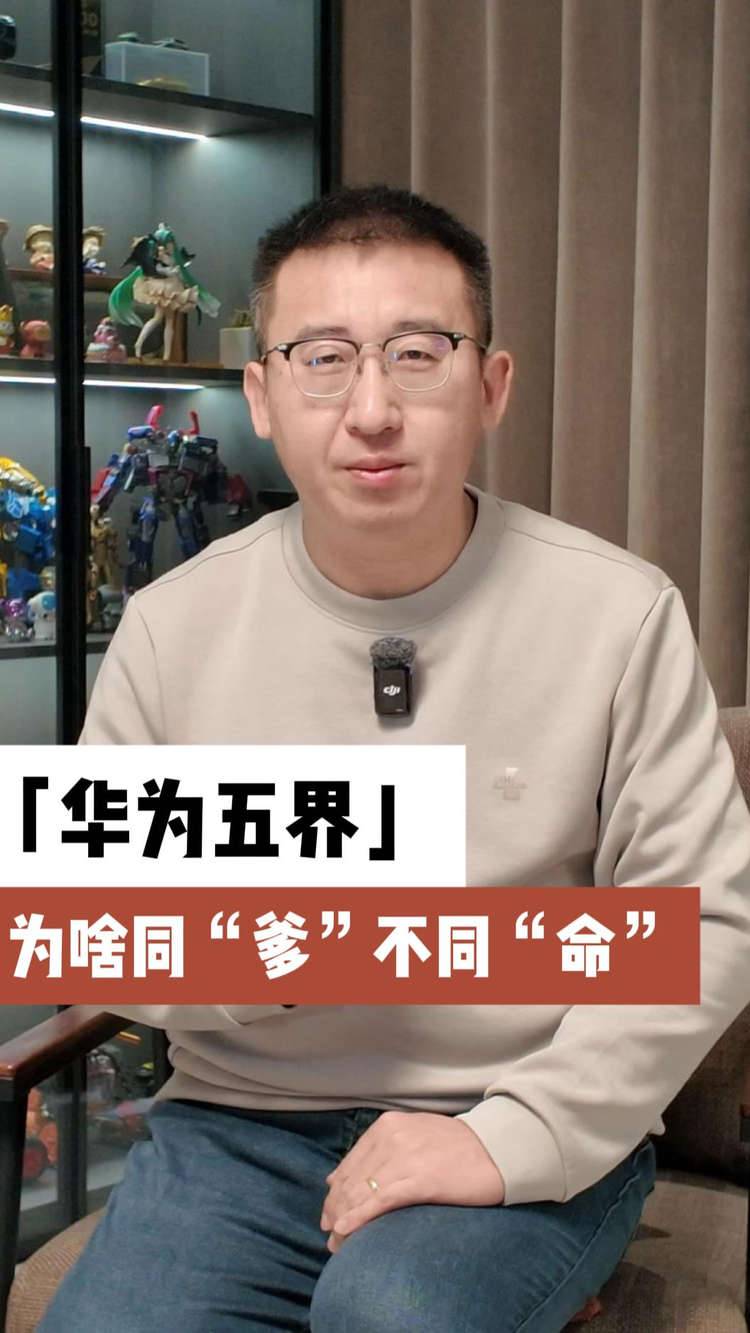 华为五界：为啥同“爹”不同“命”？