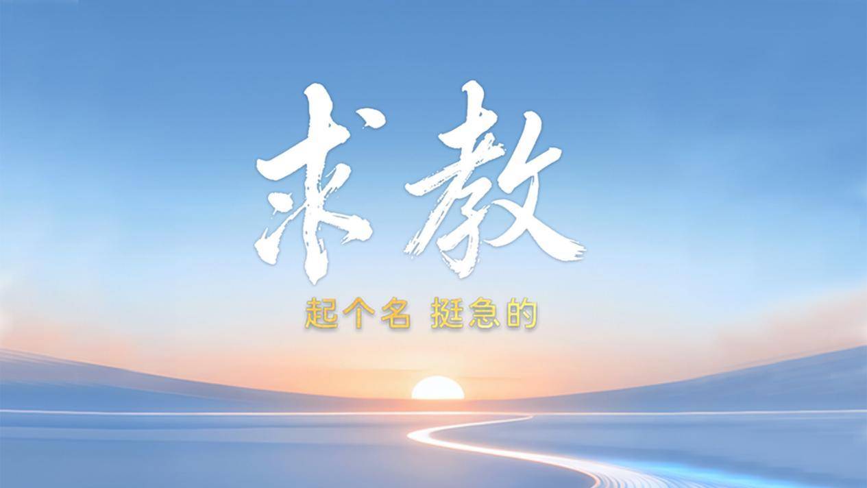 不会起名的长城汽车！