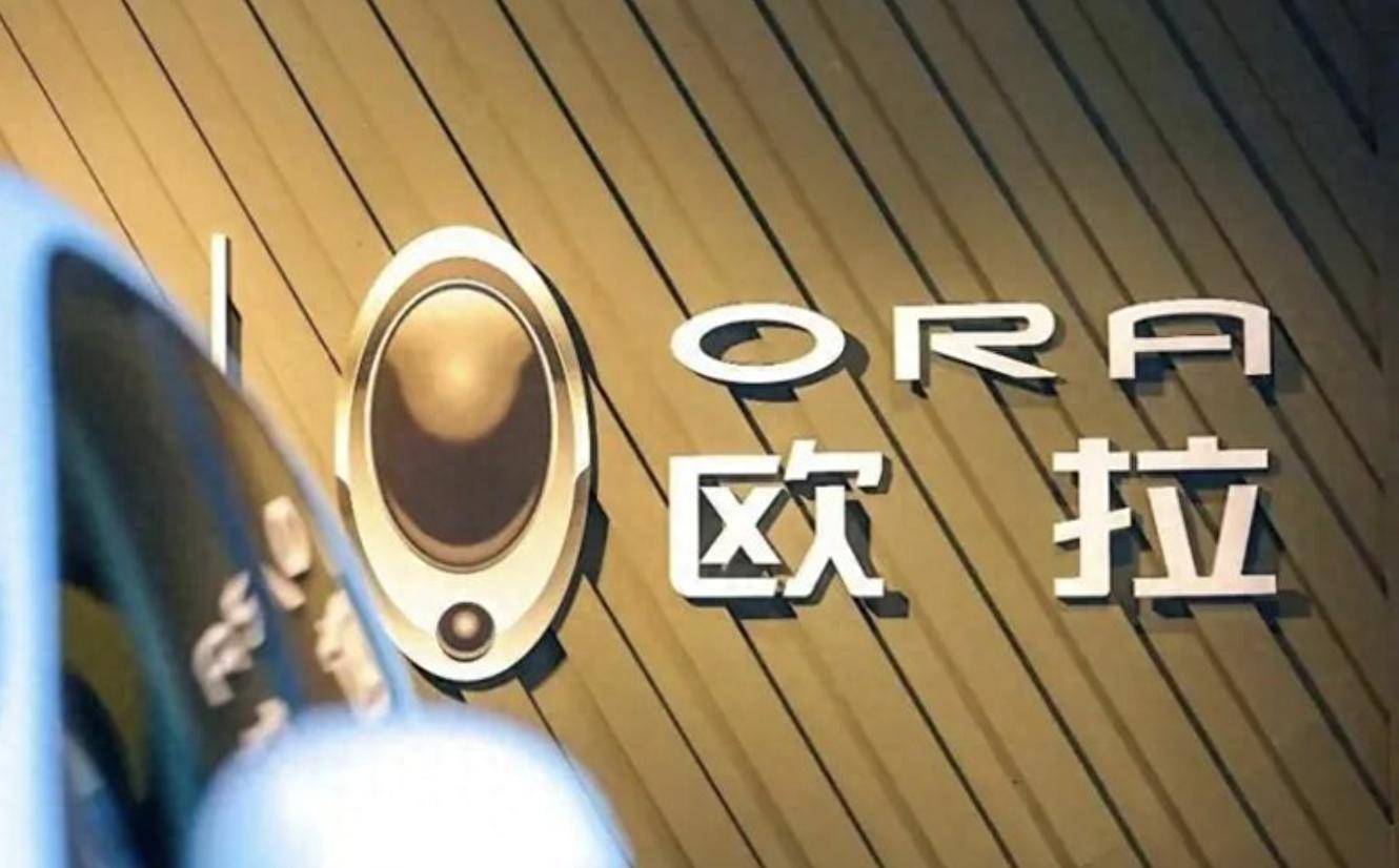 魏建军会不会后悔停产欧拉黑猫？欧拉5如果还卖不好是谁的责任