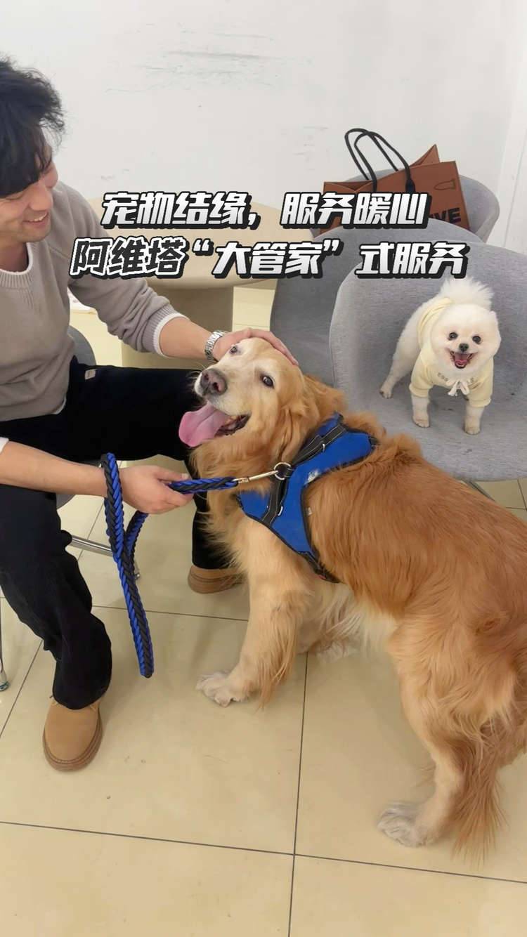 不止于车：从宠物玩伴到车主，阿维塔“智美七星服务”诠释新豪华