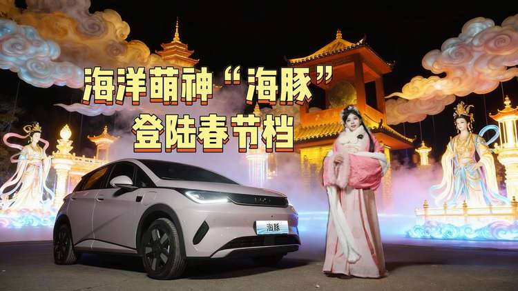 新年吉祥物，马上有“豚”！海洋萌神“海豚”登陆春节档！