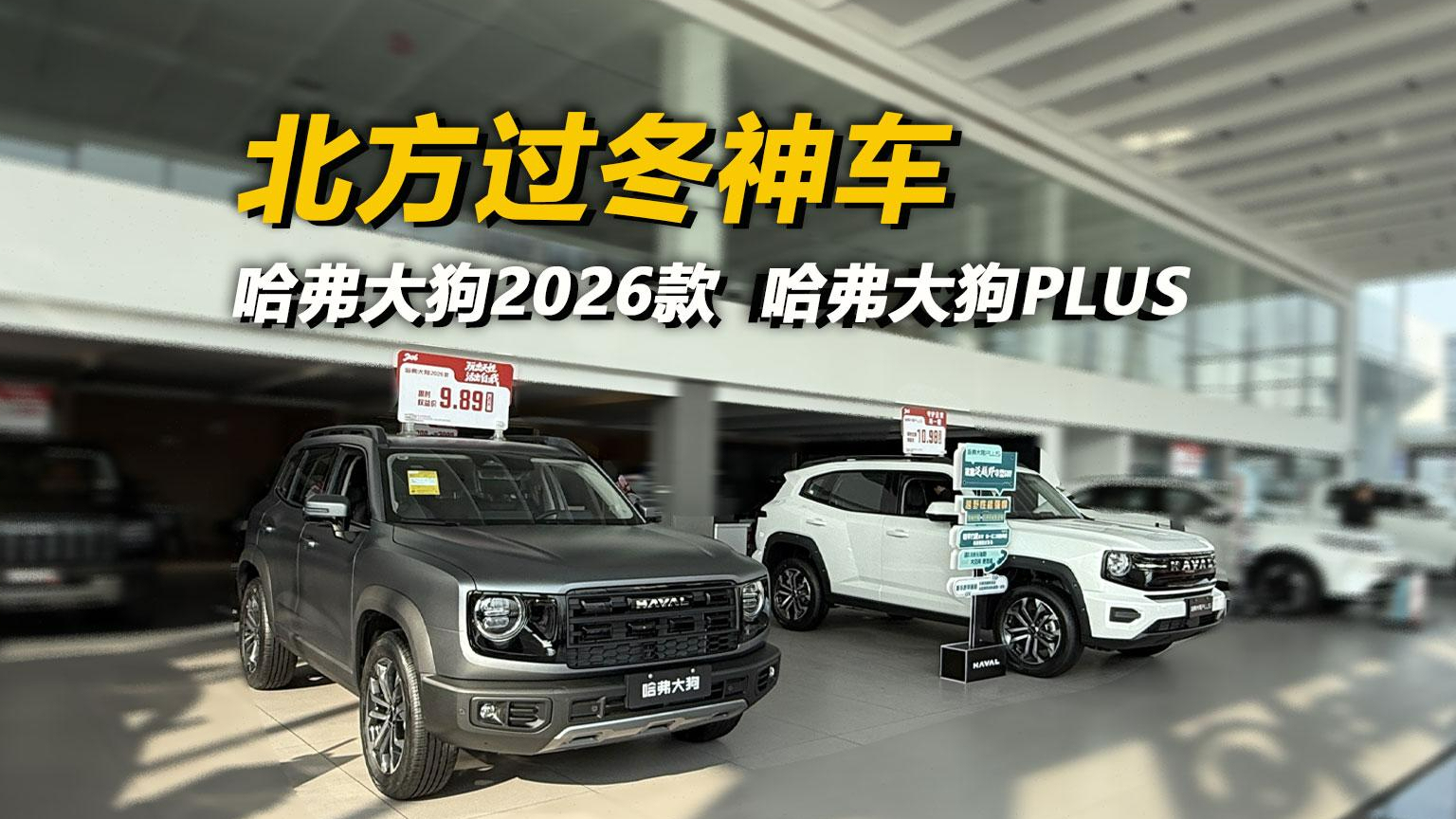 北方过冬神车 哈弗大狗2026款 哈弗大狗PLUS