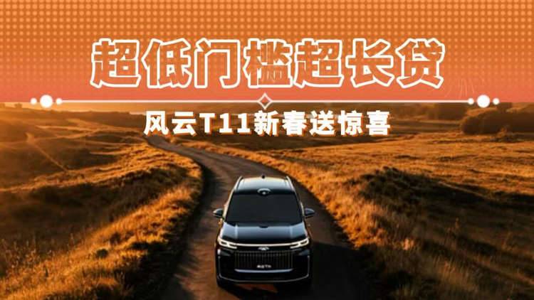 超低门槛超长贷 风云T11新春送惊喜