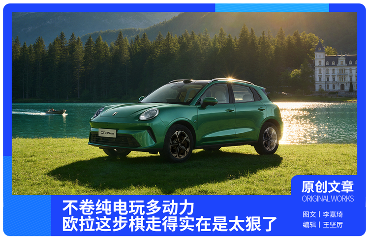 不卷纯电玩多动力，欧拉这步棋走得太狠