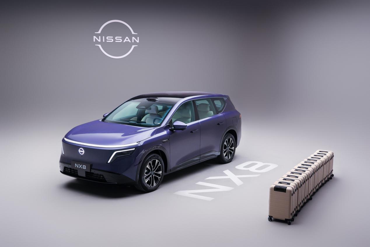 16-装行李箱13个