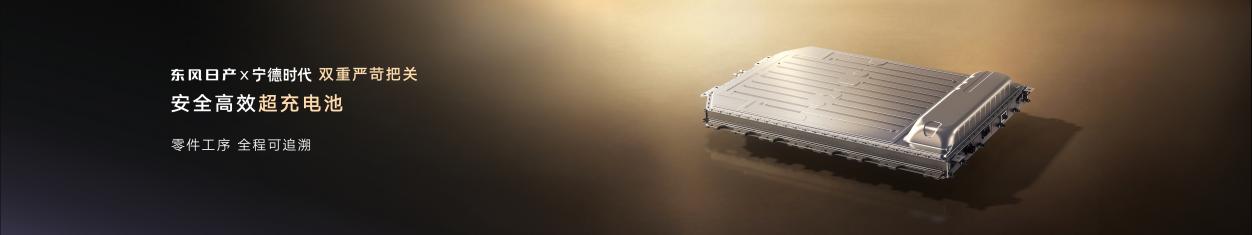 宁德时代电池-kn 图