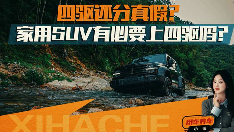 用车养车知识普及！四驱还分真假？家用SUV有必要上四驱吗？
