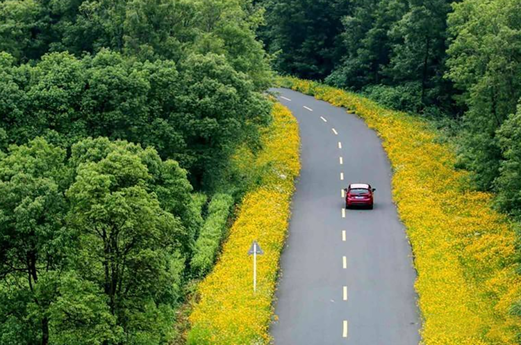 一年开车三五次、加油不过一两箱，面对上涨的油价还应该买车吗？