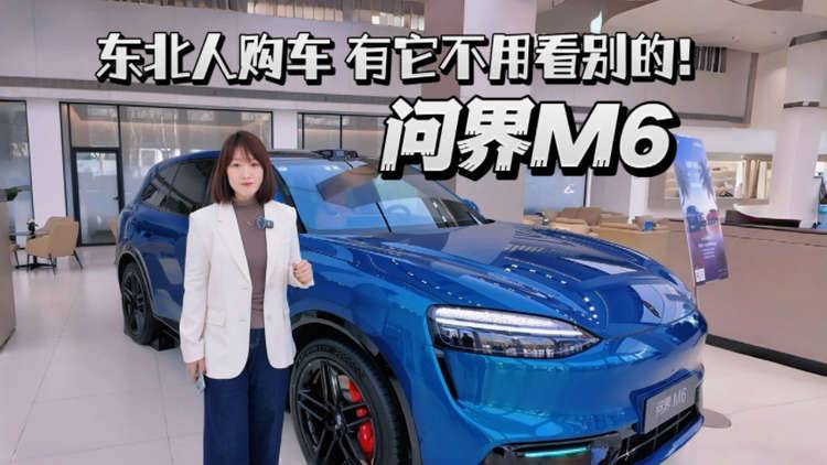 问界M6,东北人购车,有它不用看别的!