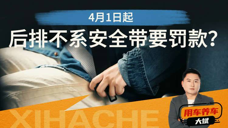 后排安全带新规是假的！但这3点是真的，你得知道