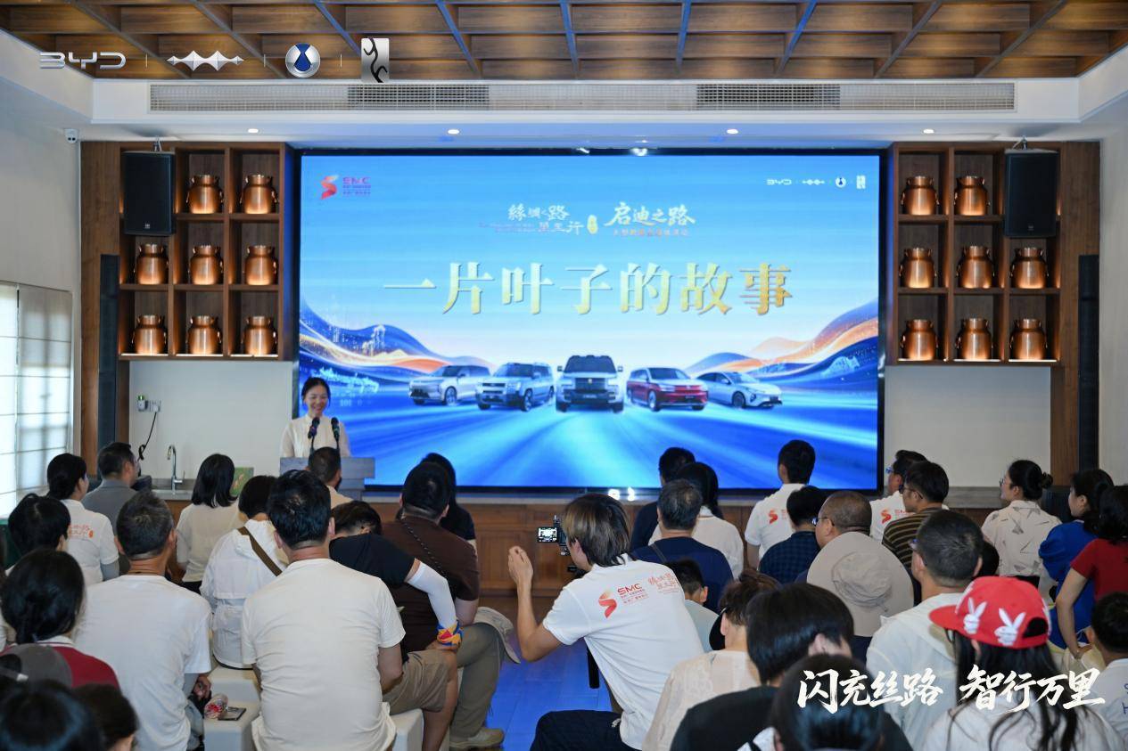 穿行丝路八城 比亚迪见证物产文明传承
