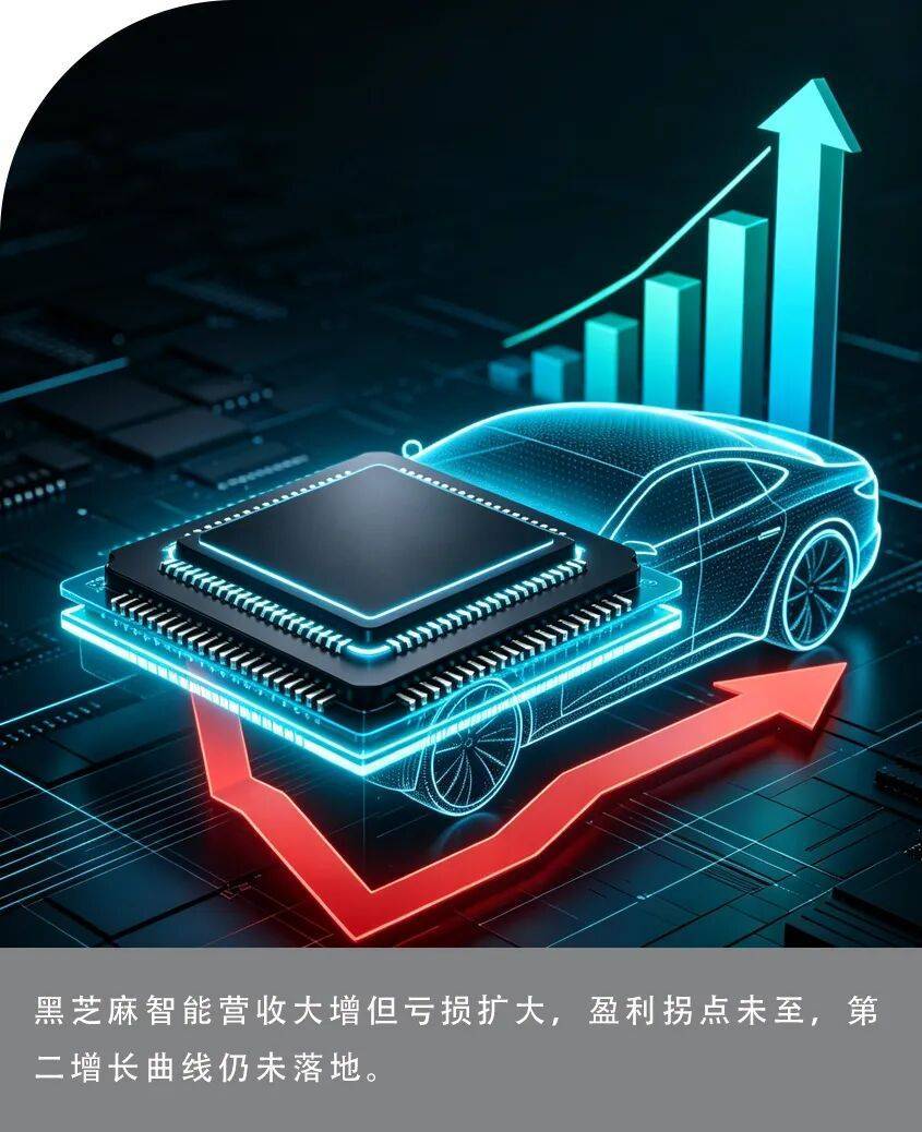 黑芝麻智能车载业务规模效应失效