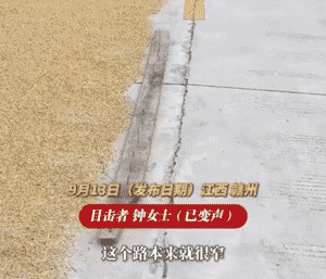 村民占路晒粮并在旁边放置钉板，殊不知其行为已涉嫌违法犯罪