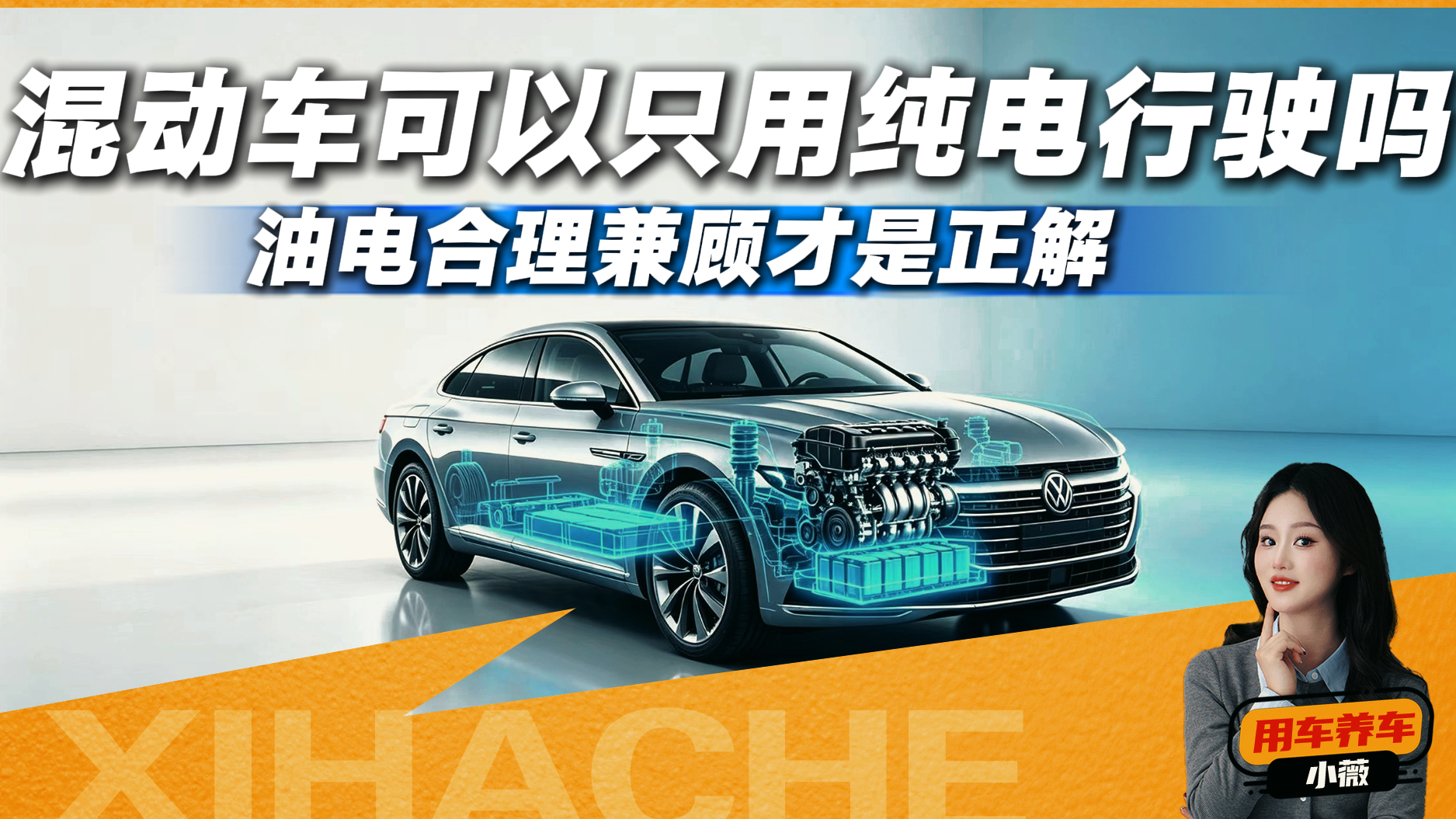 都是混动车，一种能当电车开，一种加油才能走，新手别搞混了