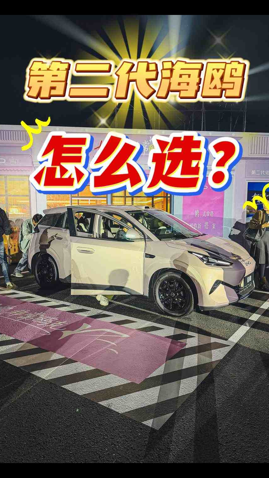 第二代海鸥到底该怎么选?