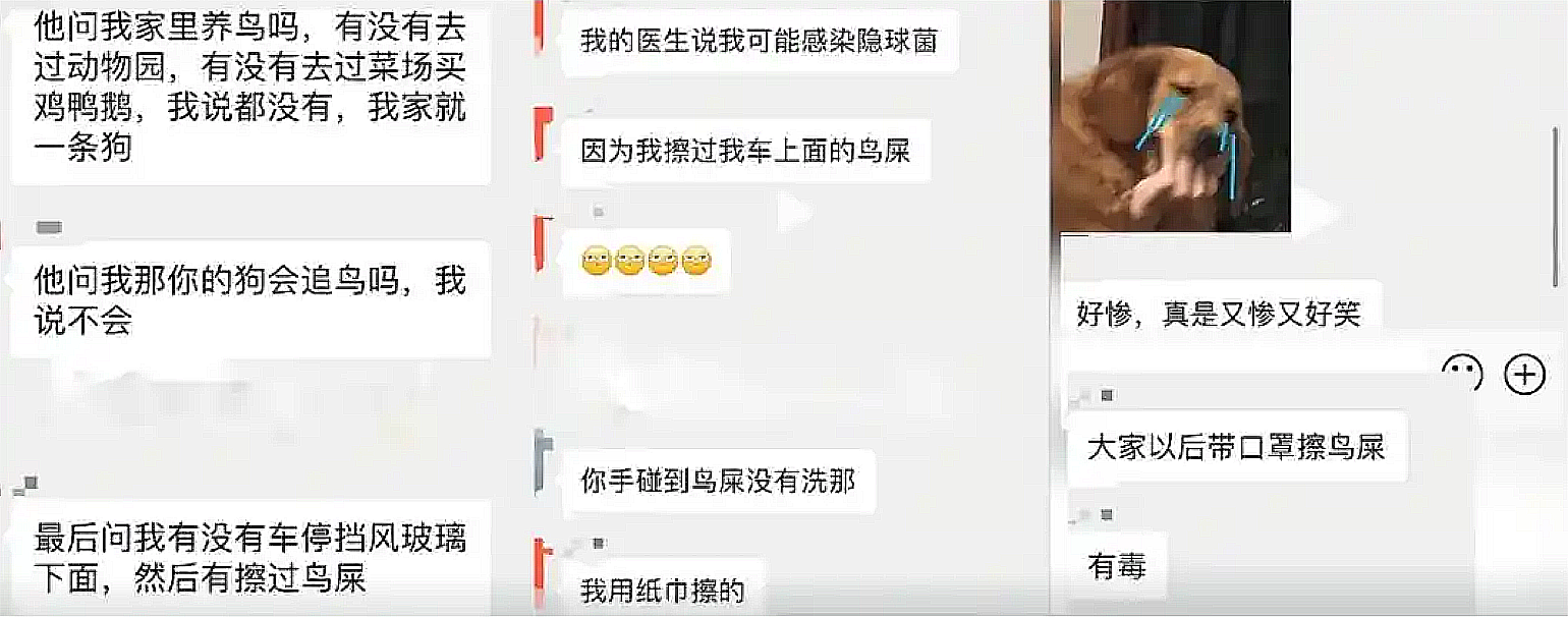 汽车上的鸟粪可能带有隐球菌,清理时不防护可能感染肺炎
