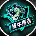犀牛报告