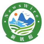 新讯报