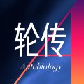 轮传汽车